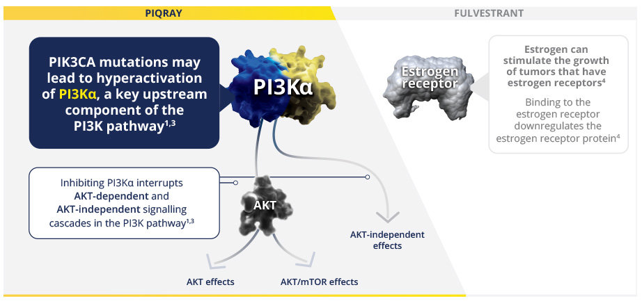PIQRAY mechanism of action