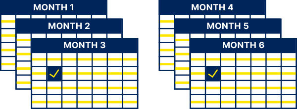 Once every 3 months graphic