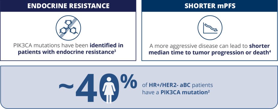 PIK3CA mutation prognosis statistics