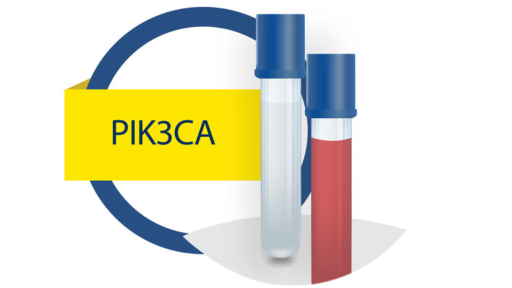 PIK3CA testing